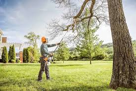 Best Tree Trimming and Pruning  in Arkansas City, KS